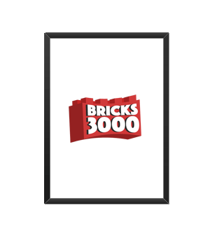Bricks 3000